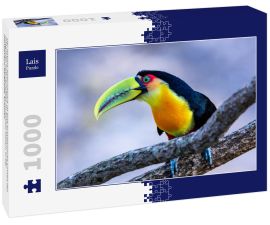Lais Puzzle - Der Itatiaia-Nationalpark ist eine brasilianische Einheit des integralen Naturschutzes im Itatiaia-Massiv, in der Mantiqueira-Bergkette, Brasilien - 1.000 Teile