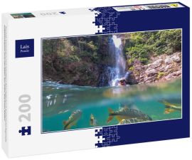 Lais Puzzle - Frau beim Schnorcheln in einem kristallklaren Wasserfallbecken im brasilianischen Regenwald, beobachtet tropische Fische unter Wasser, Bom Jardim, Mato Grosso, Brasilien - 200 Teile