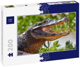 Lais Puzzle - Nahaufnahme eines Schwarzen Kaimans im Profil mit offenem Maul vor unscharfem Hintergrund am Wasserrand, Pantanal Feuchtgebiete, Mato Grosso, Brasilien - 200 Teile