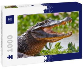 Lais Puzzle - Nahaufnahme eines Schwarzen Kaimans im Profil mit offenem Maul vor unscharfem Hintergrund am Wasserrand, Pantanal Feuchtgebiete, Mato Grosso, Brasilien - 1.000 Teile