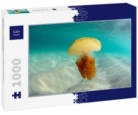 Lais Puzzle - Quallen im Wasser auf der Insel Campeche in Florianopolis, Brasilien - 1.000 Teile