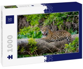 Lais Puzzle - Prächtiger Jaguar, der sich auf einem Baumstamm am Flussufer ausruht, Blick in die Kamera, Pantanal Wetlands, Mato Grosso, Brasilien - 1.000 Teile