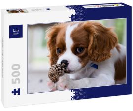 Lais Puzzle - Cavalier King Charles Spaniel - 500 Teile