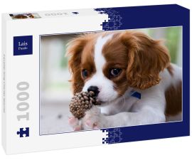 Lais Puzzle - Cavalier King Charles Spaniel - 1.000 Teile