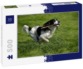Lais Puzzle - English Springer Spaniel - 500 Teile