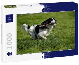 Lais Puzzle - English Springer Spaniel - 1.000 Teile