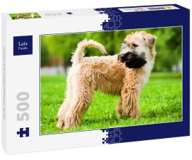 Lais Puzzle - Irischer Soft Coated Wheaten Terrier - 500 Teile