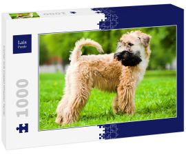 Lais Puzzle - Irischer Soft Coated Wheaten Terrier - 1.000 Teile
