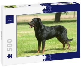 Lais Puzzle - Beauceron - 500 Teile