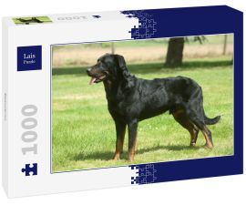Lais Puzzle - Beauceron - 1.000 Teile