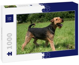 Lais Puzzle - Airedale Terrier - 1.000 Teile
