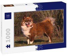 Lais Puzzle - Finnischer Lapphund - 1.000 Teile