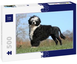 Lais Puzzle - Portugiesischer Wasserhund - 500 Teile