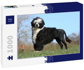 Lais Puzzle - Portugiesischer Wasserhund - 1.000 Teile