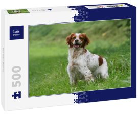 Lais Puzzle - Epagneul Breton - 500 Teile