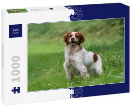 Lais Puzzle - Epagneul Breton - 1.000 Teile