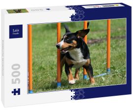 Lais Puzzle - Entlebucher Sennenhund - 500 Teile
