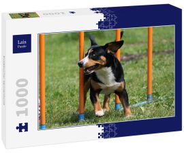 Lais Puzzle - Entlebucher Sennenhund - 1.000 Teile