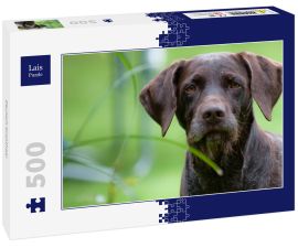 Lais Puzzle - Deutsch Drahthaar - 500 Teile