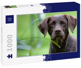 Lais Puzzle - Deutsch Drahthaar - 1.000 Teile