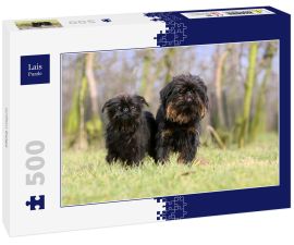 Lais Puzzle - Griffon Belge - 500 Teile