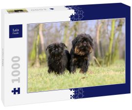 Lais Puzzle - Griffon Belge - 1.000 Teile