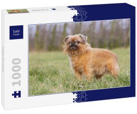 Lais Puzzle - Griffon Bruxellois - 1.000 Teile