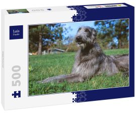 Lais Puzzle - Deerhound - 500 Teile