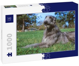 Lais Puzzle - Deerhound - 1.000 Teile