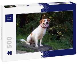 Lais Puzzle - Kromfohrländer - 500 Teile