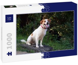 Lais Puzzle - Kromfohrländer - 1.000 Teile