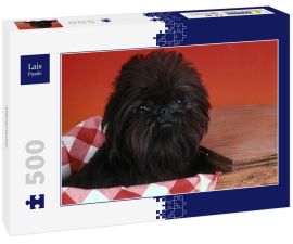 Lais Puzzle - Affenpinscher - 500 Teile