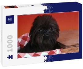 Lais Puzzle - Affenpinscher - 1.000 Teile