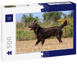 Lais Puzzle - Flat Coated Retriever - 500 Teile