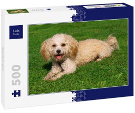 Lais Puzzle - Bolonka Zwetna - 500 Teile