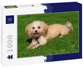 Lais Puzzle - Bolonka Zwetna - 1.000 Teile