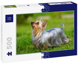Lais Puzzle - Australian Silky Terrier - 500 Teile