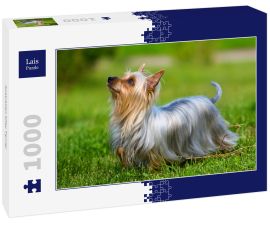 Lais Puzzle - Australian Silky Terrier - 1.000 Teile