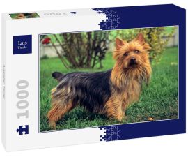 Lais Puzzle - Australian Terrier - 1.000 Teile