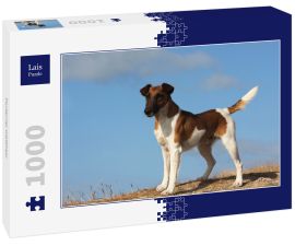 Lais Puzzle - Foxterrier Glatthaar - 1.000 Teile