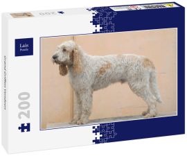 Lais Puzzle - Grand Griffon Vendeen - 200 Teile
