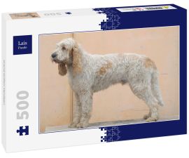 Lais Puzzle - Grand Griffon Vendeen - 500 Teile