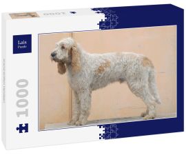 Lais Puzzle - Grand Griffon Vendeen - 1.000 Teile