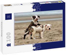 Lais Puzzle - American Bulldog - 100 Teile