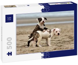 Lais Puzzle - American Bulldog - 500 Teile
