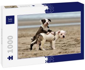 Lais Puzzle - American Bulldog - 1.000 Teile