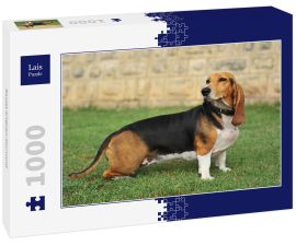 Lais Puzzle - Basset Artésien-Normand - 1.000 Teile