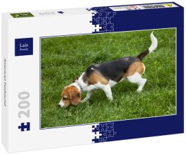Lais Puzzle - American Foxhound - 200 Teile
