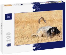 Lais Puzzle - English Setter - 100 Teile