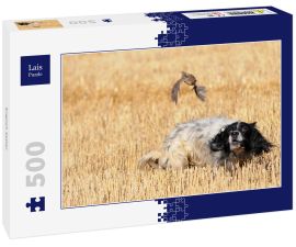 Lais Puzzle - English Setter - 500 Teile